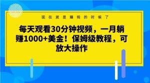 每天观看30分钟视频，一月躺赚1000+美金！保姆级教程，可放大操作【揭秘】-e家网