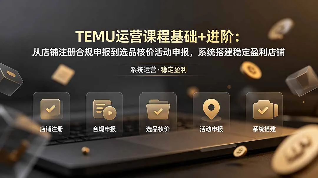 TEMU运营课程(基础+进阶-e家网