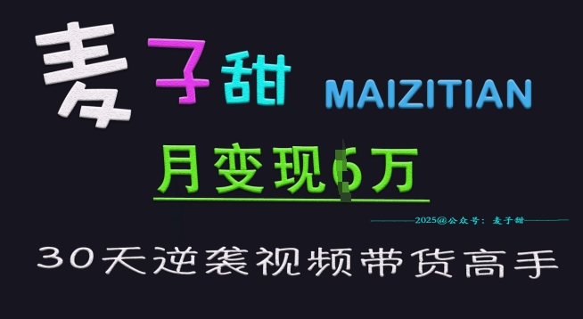麦子甜30天逆袭视频带货高手，单月变现6W加特训营-E家云商