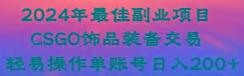 2024年最佳副业项目 CSGO饰品装备交易 轻易操作单账号日入200+-e家网