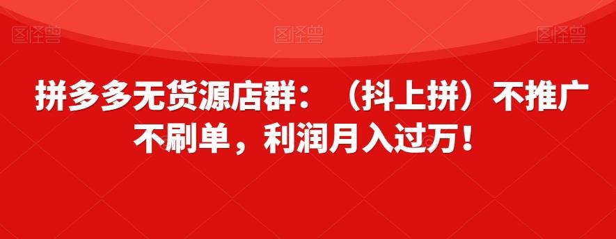 拼多多无货源店群：（抖上拼）不推广不刷单，利润月入过万！【揭秘】-E家云商