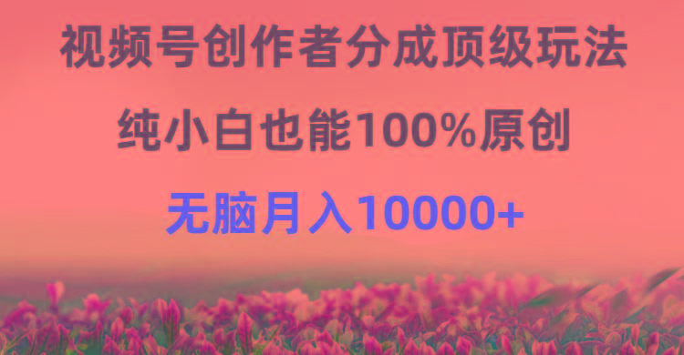 (9608期)视频号创作者分成顶级玩法，纯小白也能100%原创，无脑月入10000+-E家云商