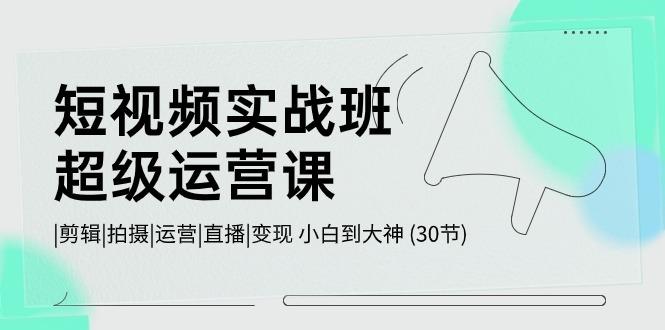 短视频实战班超级运营课 |剪辑|拍摄|运营|直播|变现 小白到大神 (30节)-E家云商