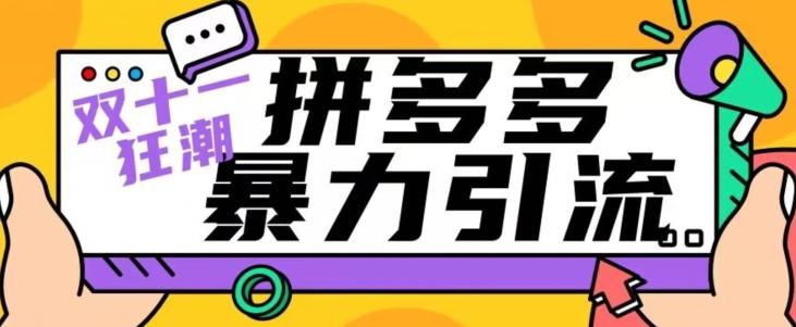 【首发】双十一拼多多暴力引流，日引300+微信-E家云商