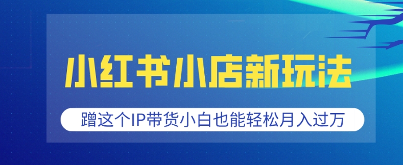 小红书小店新玩法，蹭这个IP带货，小白也能轻松月入过W【揭秘】-E家云商