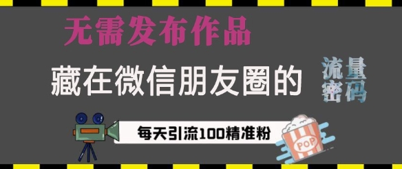 藏在微信朋友圈的流量密码，无需发布作品，单日引流100+精准创业粉【揭秘】-E家云商
