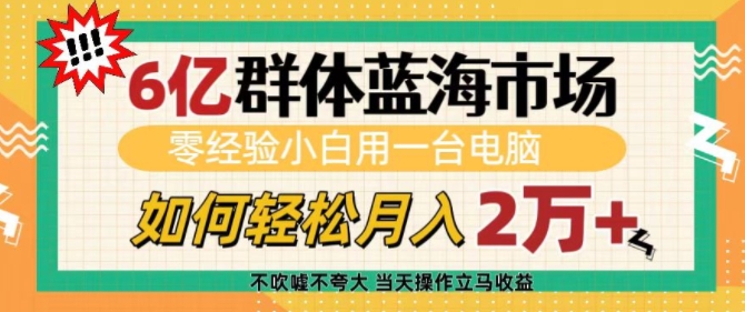 6亿群体蓝海市场，零经验小白用一台电脑，如何轻松月入过w【揭秘】-E家云商