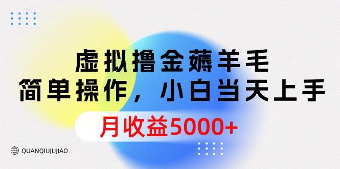 (9864期)虚拟撸金薅羊毛，简单操作，小白当天上手，月收益5000+-E家云商