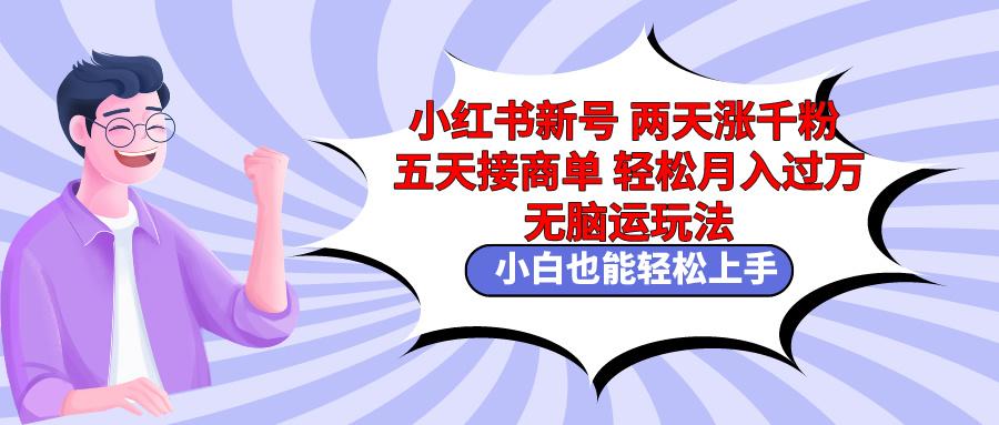 小红书新号两天涨千粉五天接商单轻松月入过万 无脑搬运玩法 小白也能轻…-E家云商