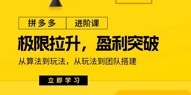 拼多多·进阶课：极限拉升/盈利突破：从算法到玩法 从玩法到团队搭建-18节-E家云商