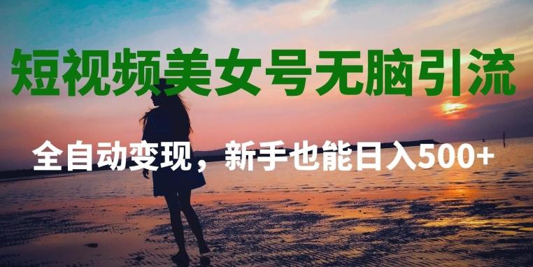 短视频美女号无脑引流，全自动变现，新手也能日入500+-E家云商