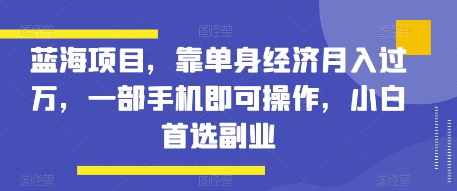 蓝海项目，靠单身经济月入过万，一部手机即可操作，小白首选副业【揭秘】-E家云商