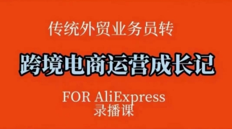 跨境电商速卖通运营课，​运营方法论+后台实操，逻辑清晰-E家云商