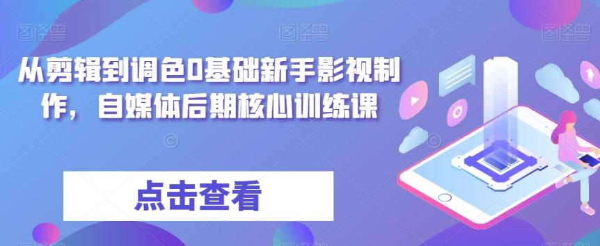 从剪辑到调色0基础新手影视制作，自媒体后期核心训练课-E家云商