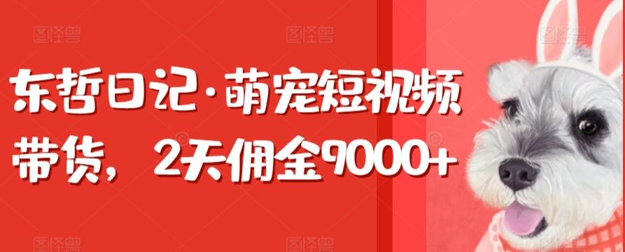 东哲日记·萌宠短视频带货，2天佣金9000+-E家云商