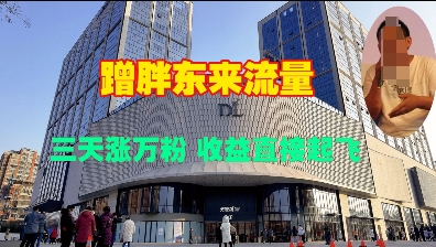 蹭胖东来流量,三天涨万粉,收益直接起飞