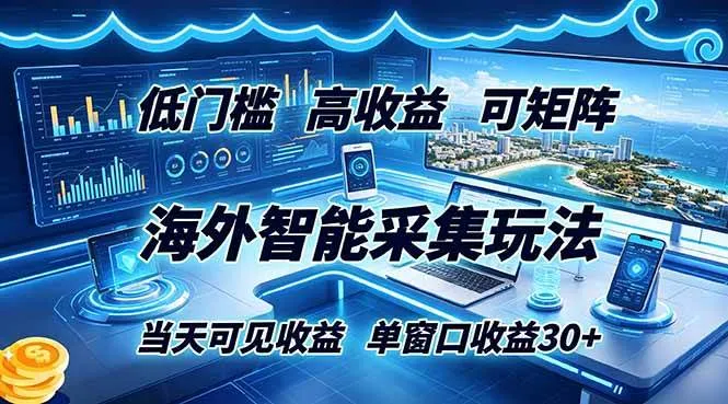 （18955期）海外智能采集玩法，低门槛高单价可矩阵，当天可见收益，单窗口30+-e家网