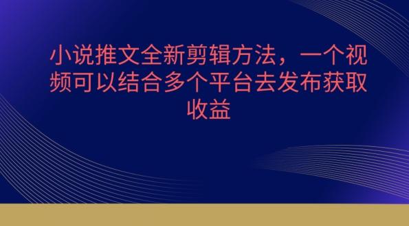 小说推文全新剪辑方法，一个视频可以结合多个平台去发布获取【揭秘】-E家云商