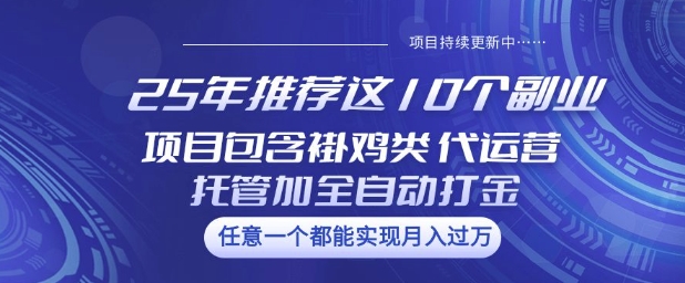 25年推荐这10个副业项目包含褂鸡类、代运营托管类、全自动打金类【揭秘】-E家云商