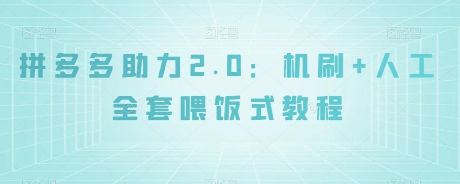 拼多多助力2.0：机刷+人工全套喂饭式教程【揭秘】-E家云商