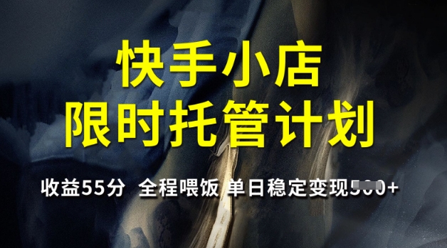 快手小店限时托管计划，收益55分，全程喂饭，单日稳定变现5张【揭秘】-E家云商