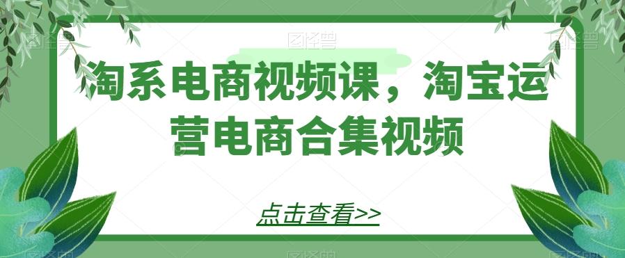 淘系电商视频课，淘宝运营电商合集视频-E家云商