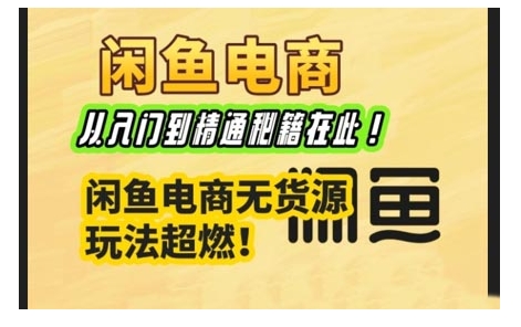 闲鱼电商实战课，从入门到精通秘籍在此，闲鱼电商无货源玩法超燃!-E家云商