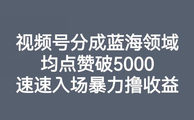 视频号分成蓝海领域，均点赞破5000，速速入场暴力撸收益-E家云商