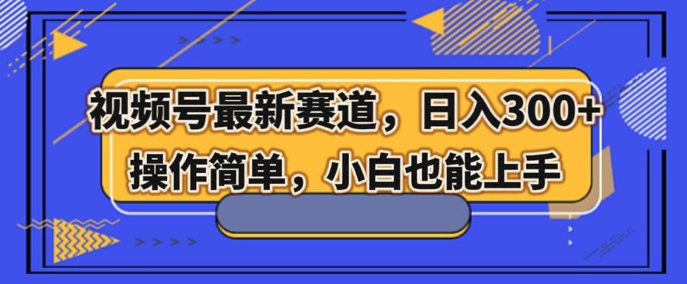 视频号最新赛道，日入300+，新手小白轻松掌握-w 刷的