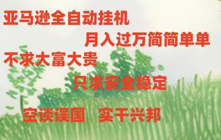 亚马逊全自动浏览挂机，，收益稳定且前景广阔-E家云商