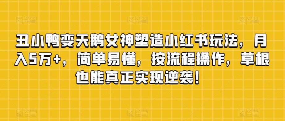丑小鸭变天鹅女神塑造小红书玩法，月入5万+，简单易懂，按流程操作，草根也能真正实现逆袭！-E家云商
