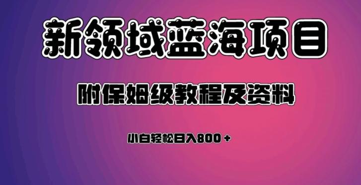 虚拟资源蓝海领域新项目，轻松日入800＋，附保姆级教程及资料-E家云商