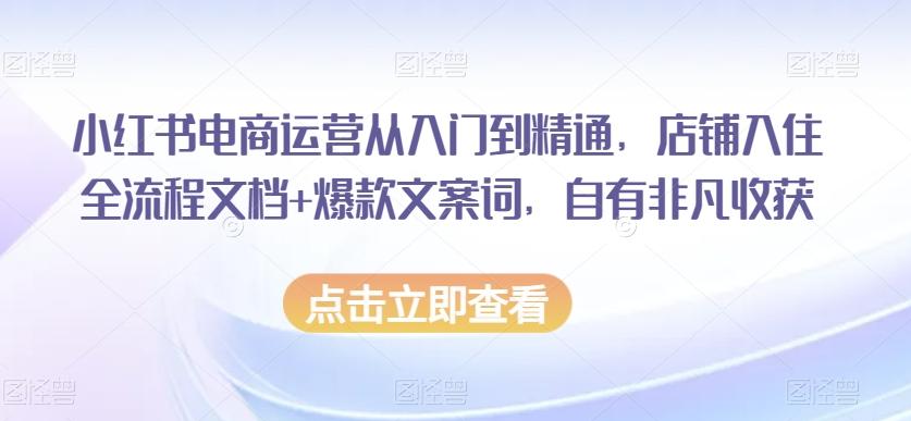 小红书电商运营从入门到精通，店铺入住全流程文档+爆款文案词，自有非凡收获-w 刷的