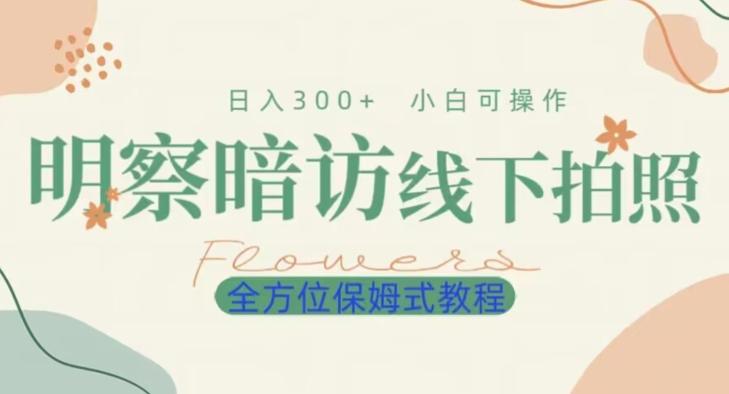 明拍暗拍项目0成本投入日入300+小白可操作保姆式全方位教程-e家网