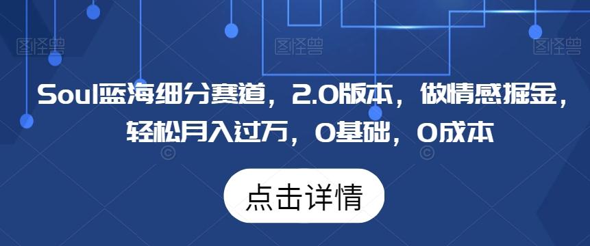 Soul蓝海细分赛道，2.0版本，做情感掘金，轻松月入过万，0基础，0成本-e家网