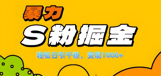 单人单机日引千粉，变现1k+，S粉流量掘金计划攻略【揭秘】-E家云商