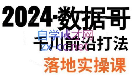 数据哥·2024年千川前沿打法落地实操课-E家云商