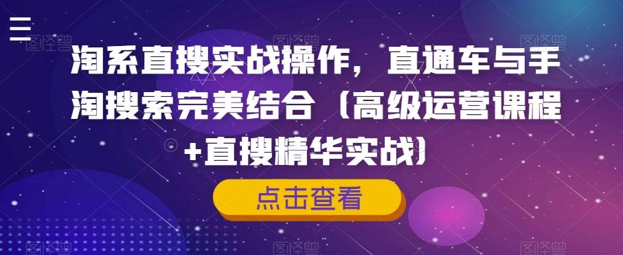 淘系直搜实战操作，直通车与手淘搜索完美结合（高级运营课程+直搜精华实战）-E家云商