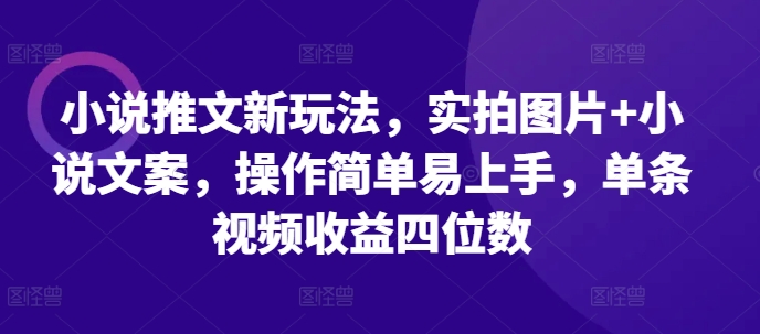 小说推文新玩法，实拍图片+小说文案，操作简单易上手，单条视频收益四位数-E家云商