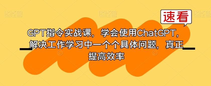 GPT指令实战课，学会使用ChatGPT，解决工作学习中一个个具体问题，真正提高效率-E家云商