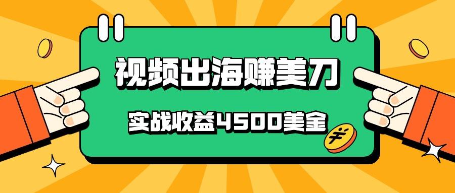 国内爆款视频出海赚美刀，实战收益4500美金，批量无脑搬运，无需经验直接上手-E家云商