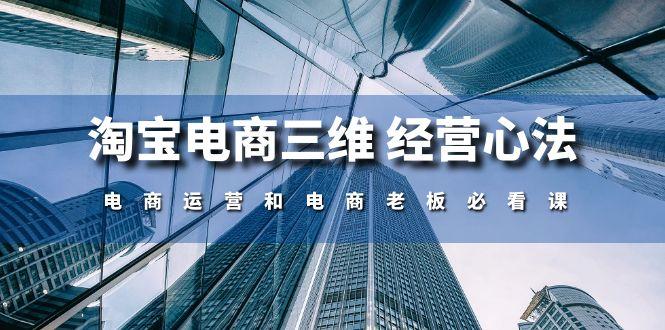 淘宝电商三维 经营心法：电商运营和电商老板必看课(59节课-E家云商