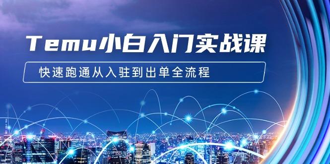 (9295期)Temu小白入门实战课：跨境拼多多电商培训 快速跑通从入驻到出单全流程-12节-E家云商