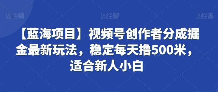 【蓝海项目】视频号创作者分成掘金最新玩法，稳定每天撸500米，适合新人小白【揭秘】-E家云商