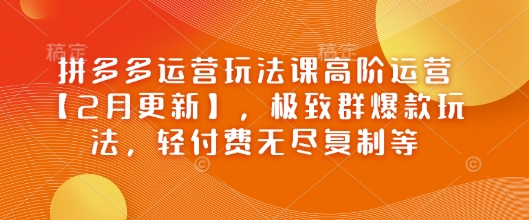 拼多多运营玩法课高阶运营【2月更新】，极致群爆款玩法，轻付费无尽复制等-E家云商