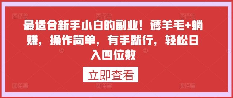 最适合新手小白的副业！薅羊毛+躺赚，操作简单，有手就行，轻松日入四位数【揭秘】-E家云商