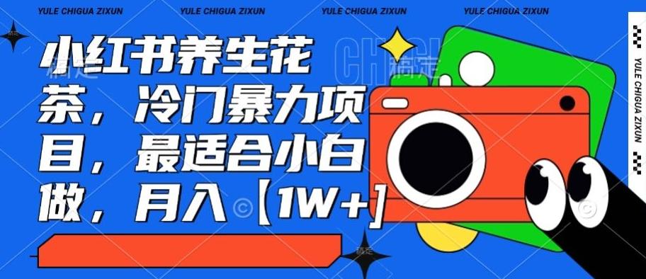 小红书养生花茶，冷门暴力项目，最适合小白做，月入【1W+】-e家网