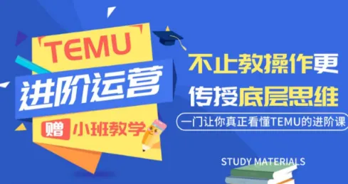 阿卡林·TEMU运营课程(基础+进阶)-e家网