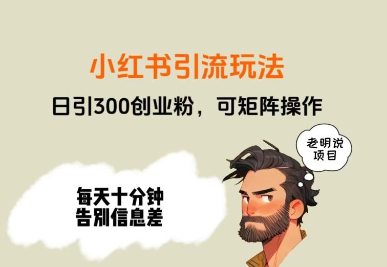 靠小红书视频日印300粉，两分钟一个视频轻松矩阵-E家云商