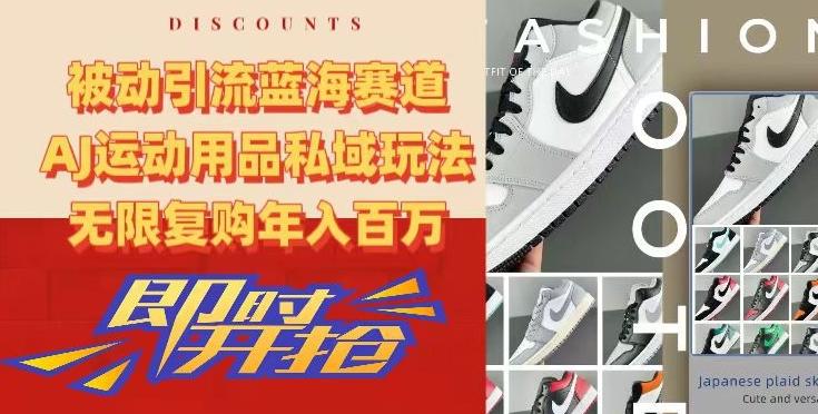 被动引流蓝海赛道，AJ运动用品私域玩法，无限复购年入百万【揭秘】-e家网